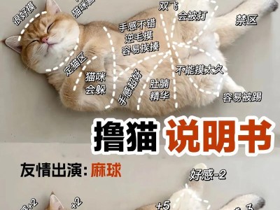 人类与猫的驯化关系（揭秘人类与猫之间复杂的驯化关系，探讨猫的真正主宰地位）