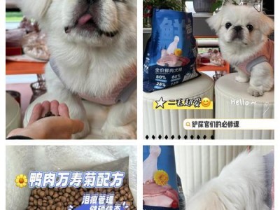 让你的爱犬告别泪痕问题（了解狗狗的泪痕问题及适用的狗粮选择，让你的宠物焕然一新。）