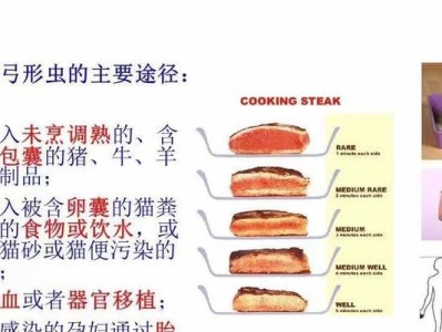 弓形虫感染疾病的危害与防范（揭开弓形虫的神秘面纱，了解预防感染的措施）