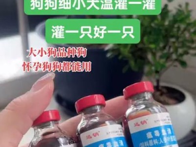细小（揭开细小的真相，为宠物犬健康护航）