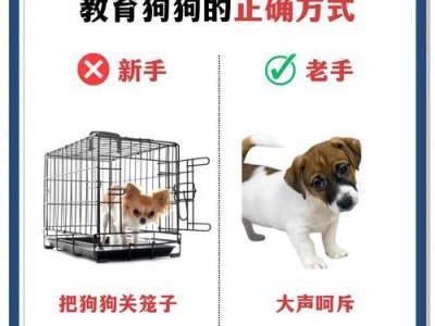 狗狗缺乏安全感的6种表现及处理方法（了解狗狗内心世界，帮助其建立安全感）