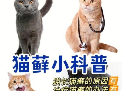 猫咪的寿命有多长？（揭秘猫咪长寿的关键特征）