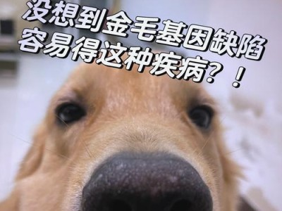 金毛的遗传病（探索金毛犬的遗传病及预防措施）