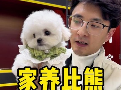 比熊狗的怀孕周期及分娩过程（了解比熊狗的繁殖特点，准备迎接新生小狗）