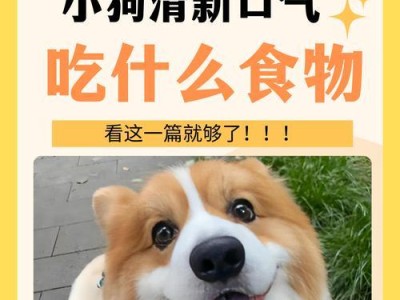 小狗的饮食宜忌大揭秘！（小狗的健康与否与饮食息息相关）