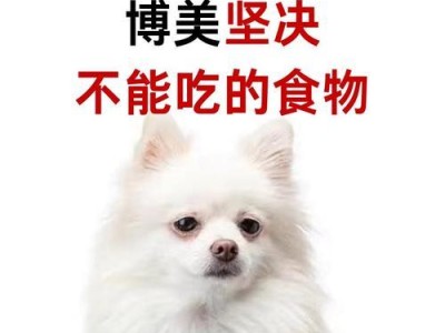 博美犬的饮食禁忌与奶粉喂养（两个月大的博美犬禁忌食品及正确喂养方式）