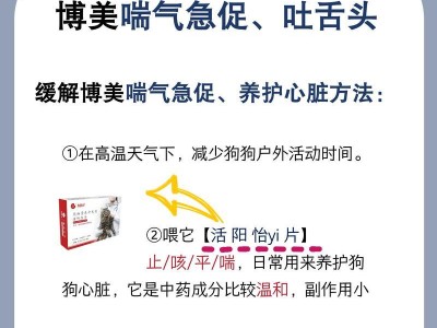 博美为什么老呕吐？（探究博美犬呕吐的原因和解决方法）