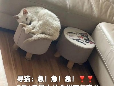 猫咪拔牙后不进食的原因及应对方法（保护宠物牙齿健康，从这些方面开始）