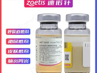 猫咪过敏了，该吃什么消炎药？（了解猫咪过敏症状及选用适合消炎药物的关键）