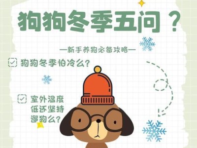 养狗必知（如何确保狗狗补钙的健康与有效？）