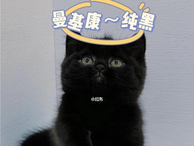 揭秘猫咪肉掌为何大多数是黑色（猫掌为何如此特殊？黑色掌的原因是什么？）