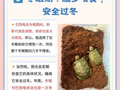 如何合理养护小乌龟的水环境（科学换水频率保障小乌龟健康成长）