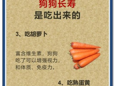狗狗吃了打虫药后多久可以进食？（探究狗狗打虫药的进食时间，宠物健康的关键）