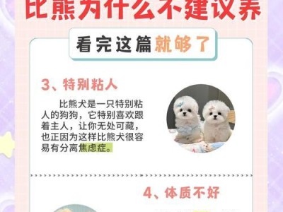 比熊狗狗的饲养指南（打造快乐健康的比熊宠物生活）