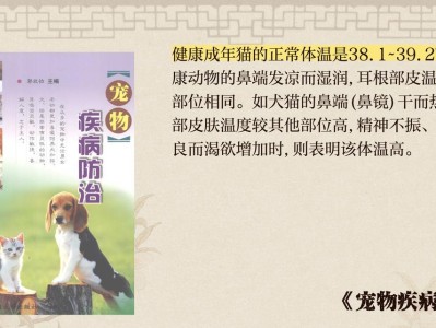 幼犬体温正常范围及如何应对发烧问题（幼犬正常体温，发烧处理方法）