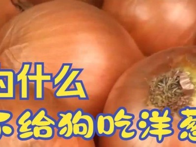 刚生完狗狗不能吃的水果有哪些？（保护宝贝健康，远离禁食水果）