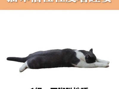 猫咪夏天的降温方法（让你的猫咪安心度过夏天）