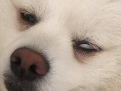 为什么睡觉时会翻白眼？（探寻身体为何在睡眠中产生白眼现象）