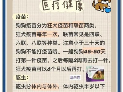金毛成长的特殊阶段与照顾方法（了解金毛成长的特殊阶段，给它最好的照顾）