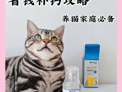 怀孕猫如何补钙（补钙食物有哪些，细致照顾孕猫健康）