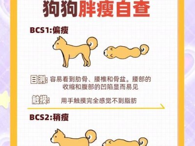 如何帮助肥胖的狗狗减重（以狗狗体重对照表为主题的减肥指南）