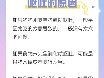 狗狗呕吐的原因及应对方法（解析狗狗呕吐的常见原因和处理方法）
