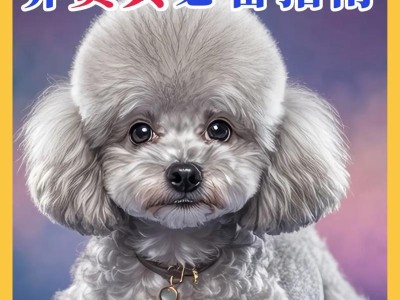 贵宾犬的饲养方法（了解贵宾犬的需求和注意事项，为您提供全方位的饲养指南）