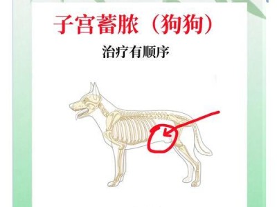 母狗月经期洗澡时间探究（了解母狗月经期洗澡的最佳时机）