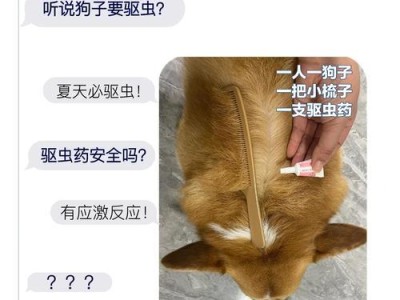 狗狗驱蚊用品大盘点（为您的爱宠提供最佳的驱蚊防护）