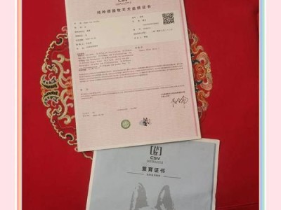 办理血统证书的时间要求（多久内可以获得血统证书？办理血统证书时间的关键点是什么？）
