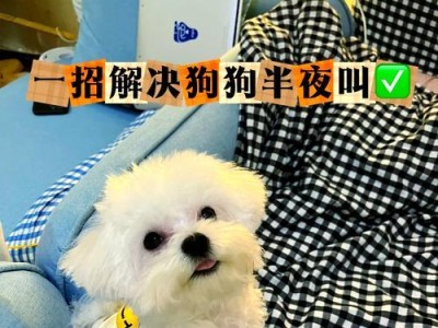 狗宝宝的睡眠需求与养护（揭秘狗宝宝夜间睡眠时间及养护要点）
