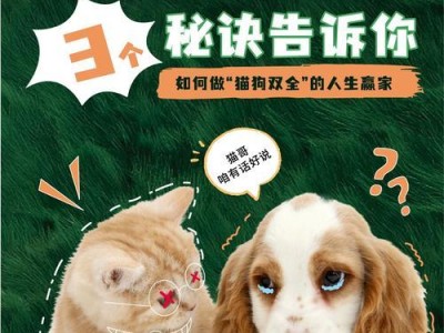 与猫友好相处的宠物选择（探索与猫咪相处的最佳宠物伙伴）