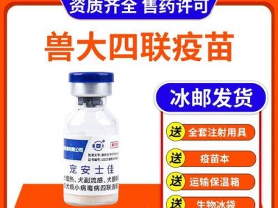小狗细小治疗药物指南（帮助小狗战胜细小的药物和护理方法）