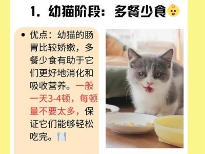 2个月幼猫的饮食需求与喂养方法（了解幼猫的饮食需求，正确喂养它们）