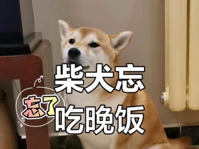 柴犬为什么不爱吃饭？（探寻柴犬不爱吃饭的原因及解决方法）