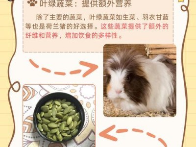 荷兰猪的养殖指南（了解荷兰猪的特点和养殖技巧，打造健康的繁殖群体）