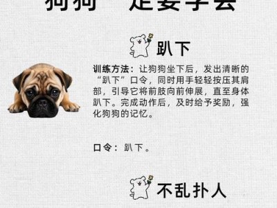 训练狗狗趴下的时间和方法（掌握趴下的关键技巧，培养宠物的听从指令能力）
