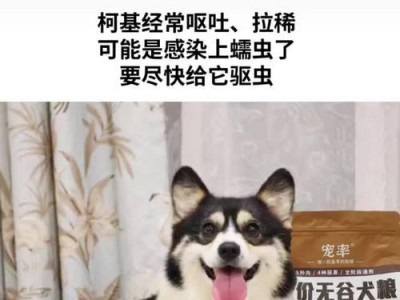 狗生蠕虫症状大揭秘（了解狗生蠕虫的症状及预防方法，让爱宠远离病痛）