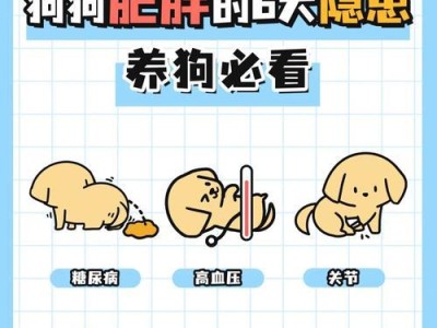 小狗生病的症状与应对方法（揭秘小狗生病的迹象，帮助你及时应对关键问题）