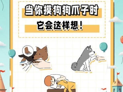 狗爪的磨损时间与保护方法（了解狗爪磨损的周期及如何保护它们）