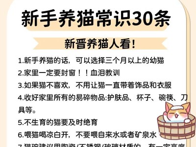 猫咪睡觉的5个小常识，让你更了解你的爱宠（猫咪的睡眠习惯、睡姿和睡眠质量是什么样的？）