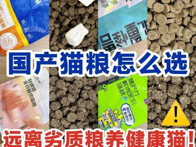 猫咪不吃猫粮，该如何合理安排饮食？（以自然食物为主，照顾猫咪的健康需求）