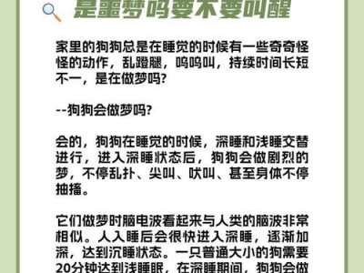 探究狗狗的理想睡眠时间（揭秘狗狗睡眠习惯，了解它们的健康需求）