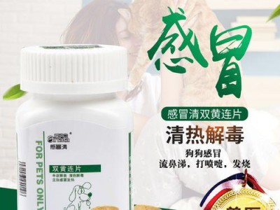 宠物泰迪狗的禁食与用药注意事项（了解泰迪狗的饮食禁忌和用药要点，守护宠物健康）