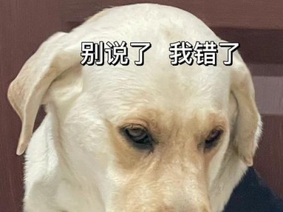 为何狗狗喜欢撕卫生纸？（探究狗狗撕卫生纸背后的原因与解决办法）