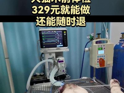 帮助家中母狗接生的4步教程（铲屎官秒变产婆，为你详解如何帮母狗顺利分娩）