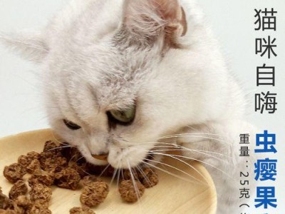 小猫突然亢奋，原因竟是……（揭开宠物精神异常背后的真相，猫咪发生亢奋的一大秘密揭秘！）