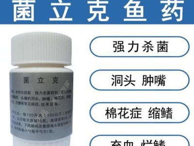 罗汉鱼缸滤材更换周期的重要性（如何确定罗汉鱼缸滤材更换的最佳时间）