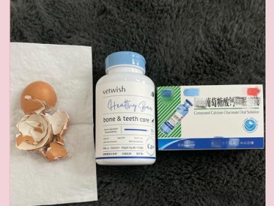 正确补钙方式，让狗狗健康成长（了解补钙的重要性及正确的补钙方法）