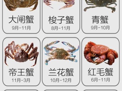 宠物蟹的养殖与饲养技巧（探索宠物蟹的乐趣与挑战）